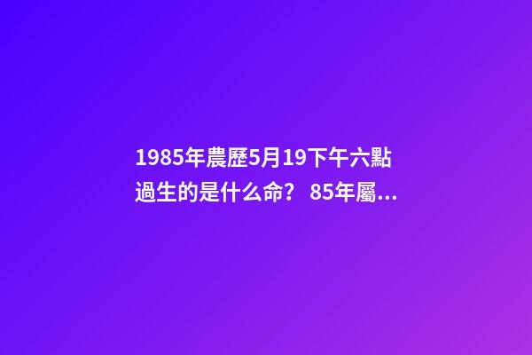 1985年農歷5月19下午六點過生的是什么命？ 85年屬牛女辰時出生命運怎樣，85年屬牛的人一生運程-第1張-觀點-玄機派
